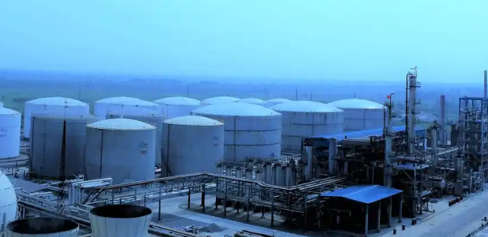 湖州万峰文化新媒体代运营与自建团队的成本效果对比分析